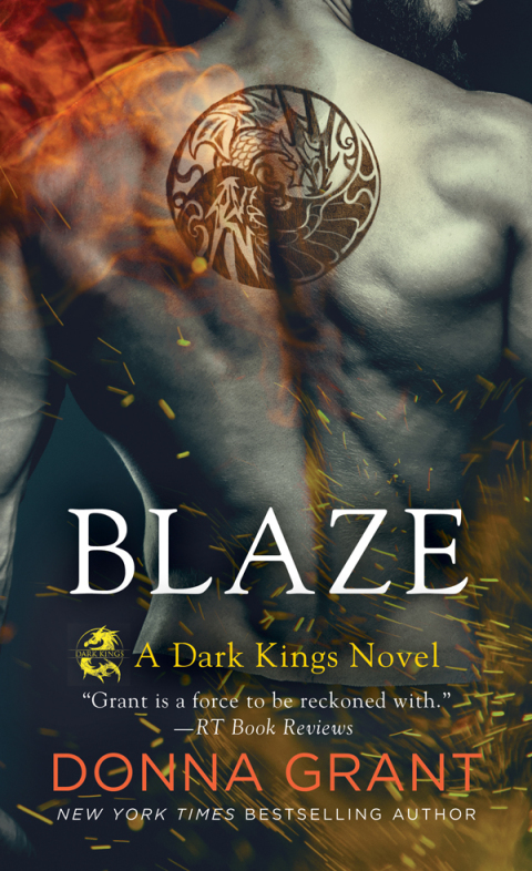 Cover image for book Blaze
