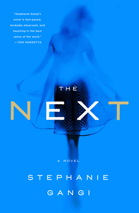Cover image for book The Next