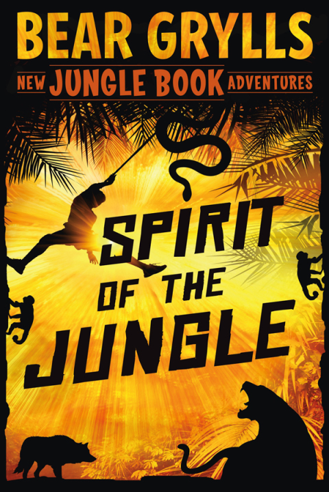 Cover image for book Spirit of the Jungle