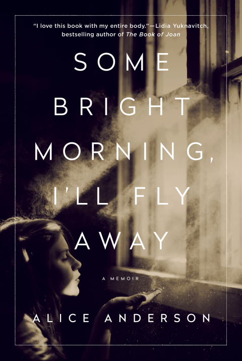 Cover image for book Some Bright Morning, I'll Fly Away