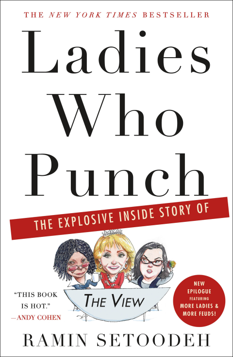 Cover image for book Ladies Who Punch