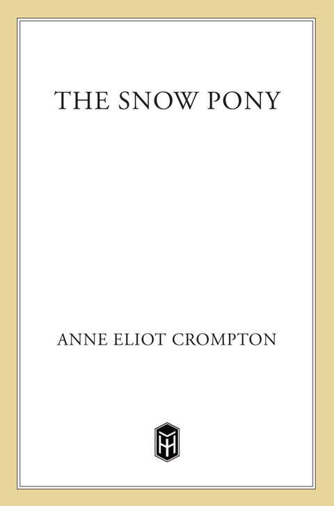 Cover image for book The Snow Pony
