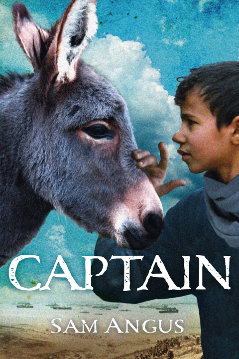 Cover image for book Captain