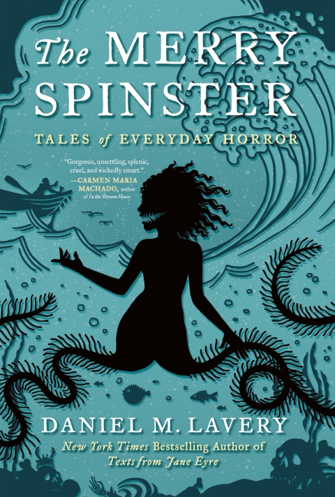Cover image for book The Merry Spinster