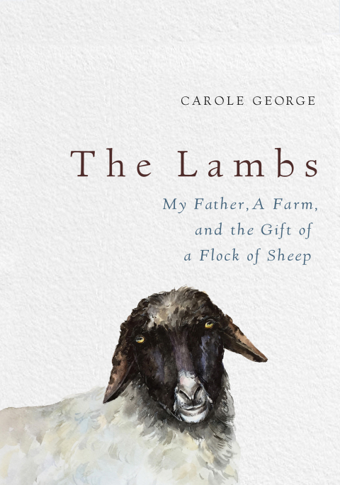Cover image for book The Lambs