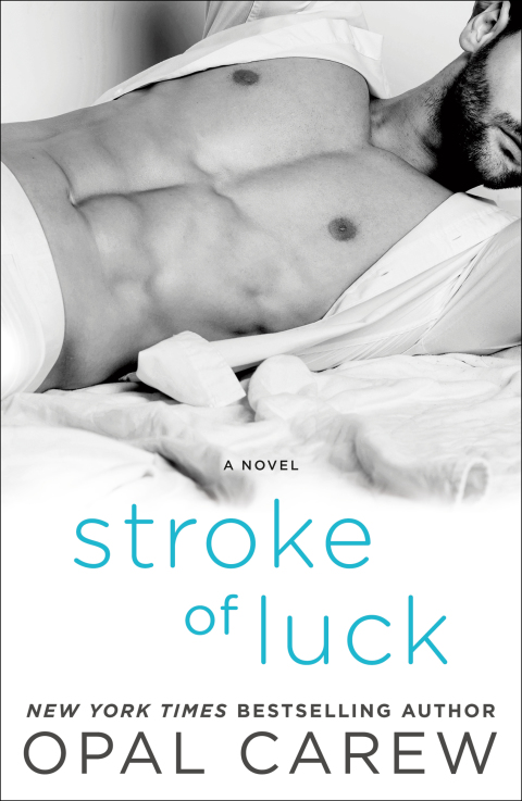 Cover image for book Stroke of Luck