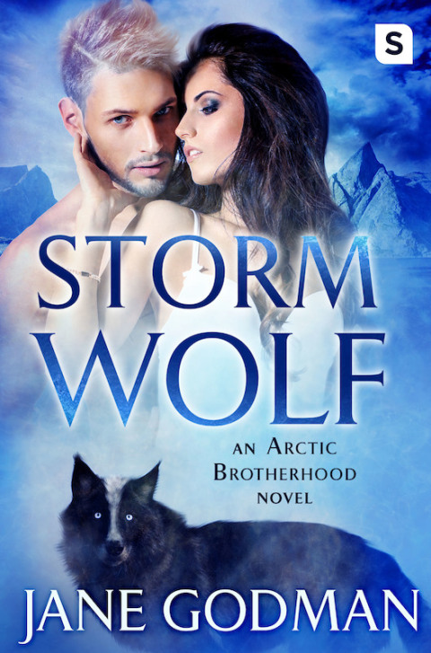 Cover image for book Storm Wolf
