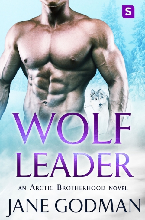 Cover image for book Wolf Leader