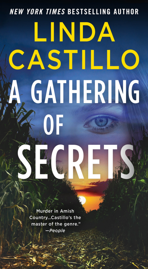 Cover image for book A Gathering of Secrets