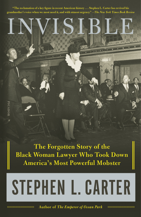 Cover image for book Invisible