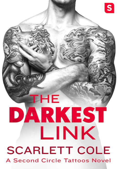 Cover image for book The Darkest Link