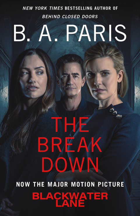 Cover image for book The Breakdown