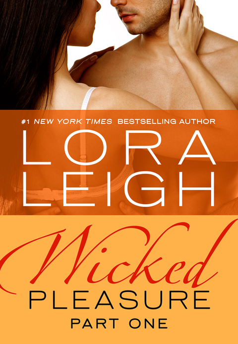 Cover image for book Wicked Pleasure: Part 1