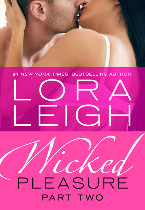 Cover image for book Wicked Pleasure: Part 2