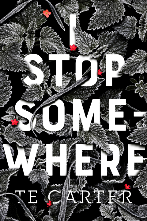 Cover image for book I Stop Somewhere