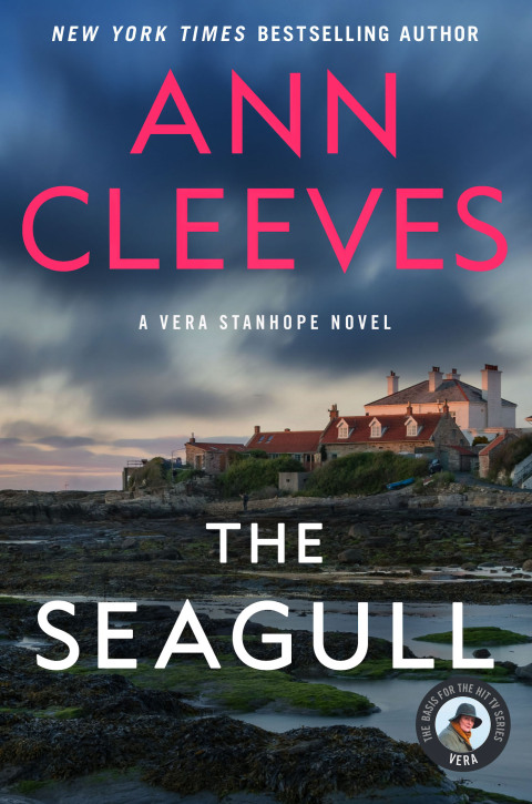 Cover image for book The Seagull