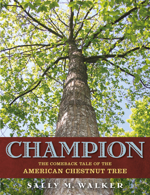 Cover image for book Champion