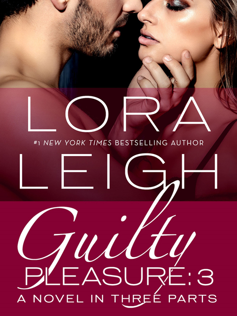 Cover image for book Guilty Pleasure: Part 3