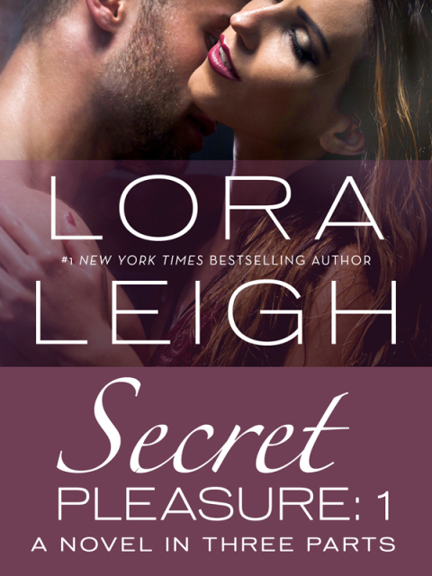 Cover image for book Secret Pleasure: Part 1