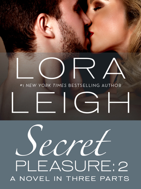 Cover image for book Secret Pleasure: Part 2