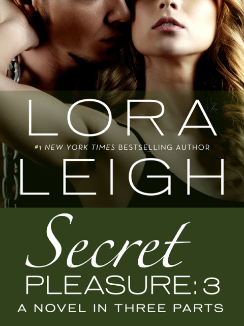 Cover image for book Secret Pleasure: Part 3