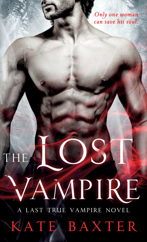 Cover image for book The Lost Vampire