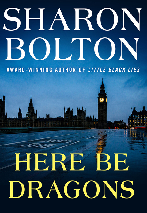 Cover image for book Here Be Dragons