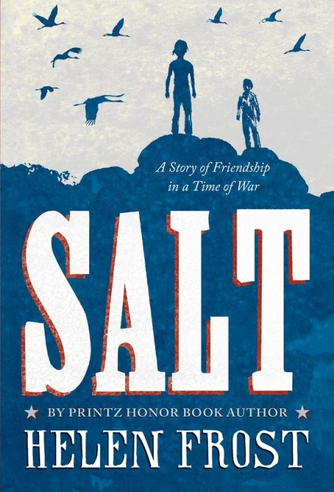 Cover image for book Salt