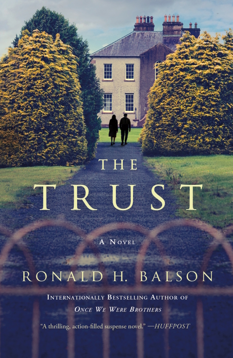 Cover image for book The Trust