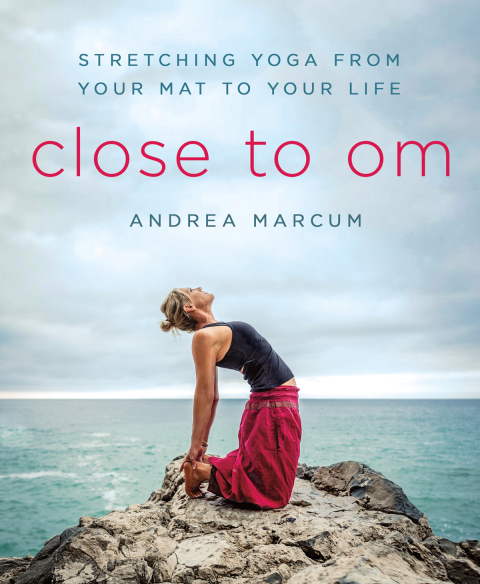 Cover image for book Close to Om