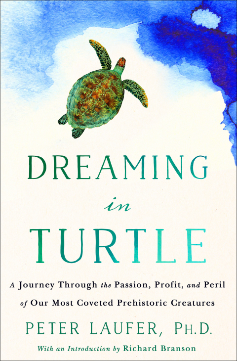 Cover image for book Dreaming in Turtle