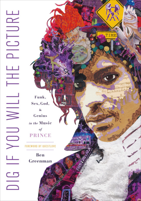 Cover image for book Dig If You Will the Picture