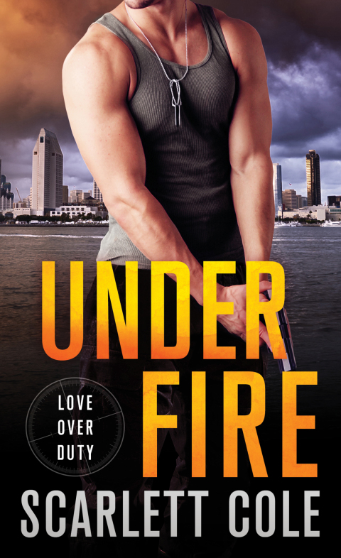 Cover image for book Under Fire