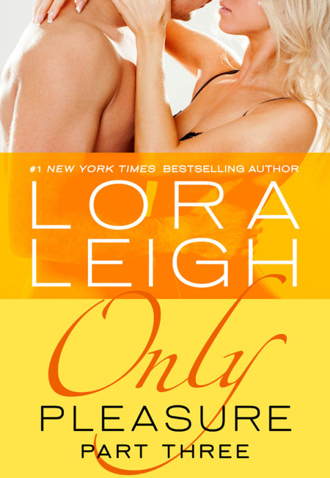 Cover image for book Only Pleasure: Part 3