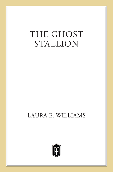 Cover image for book The Ghost Stallion