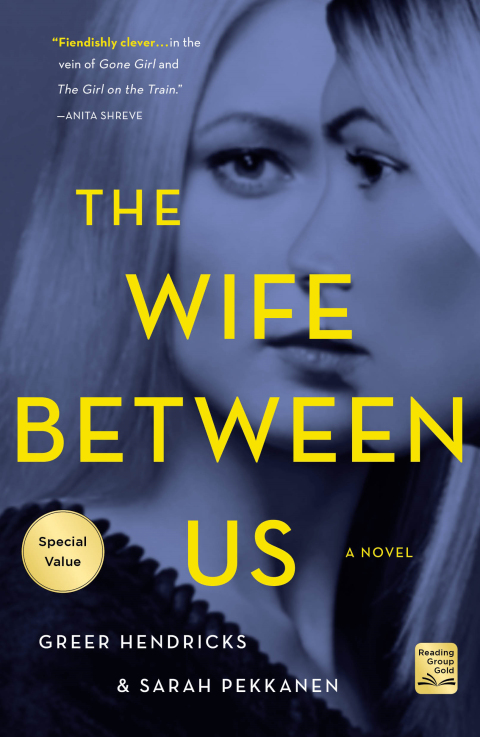 Cover image for book The Wife Between Us