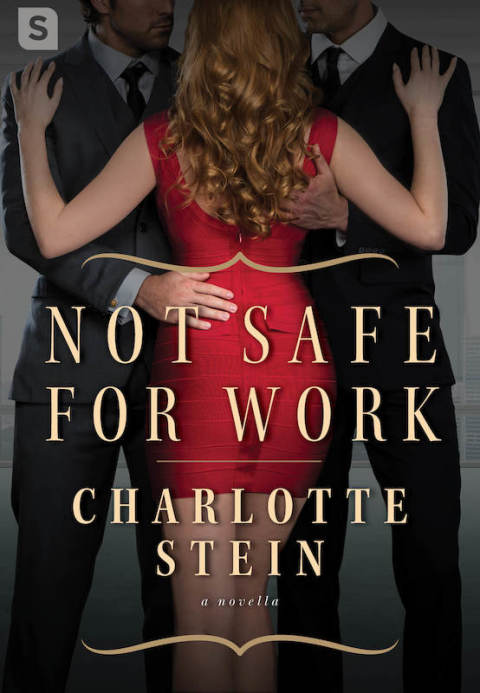 Cover image for book Not Safe for Work