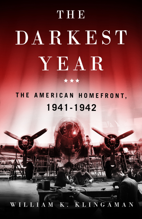 Cover image for book The Darkest Year