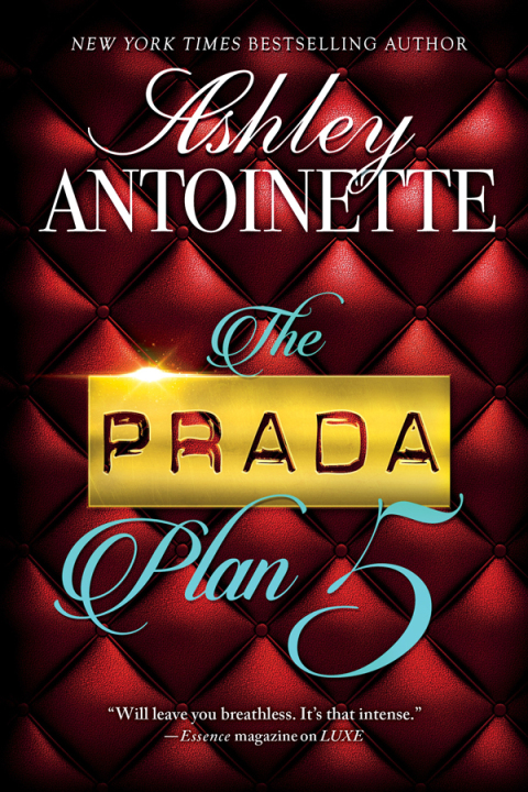 Cover image for book The Prada Plan 5