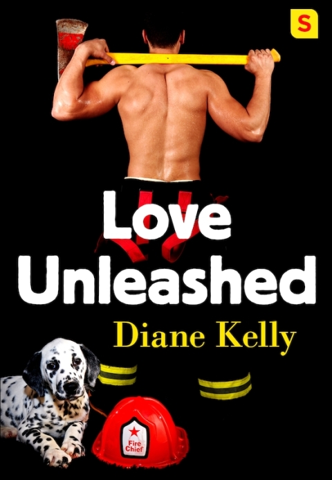 Cover image for book Love Unleashed