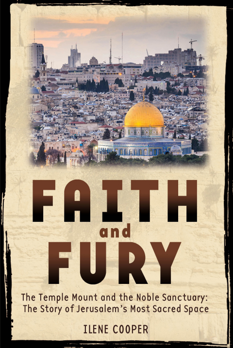 Cover image for book Faith and Fury