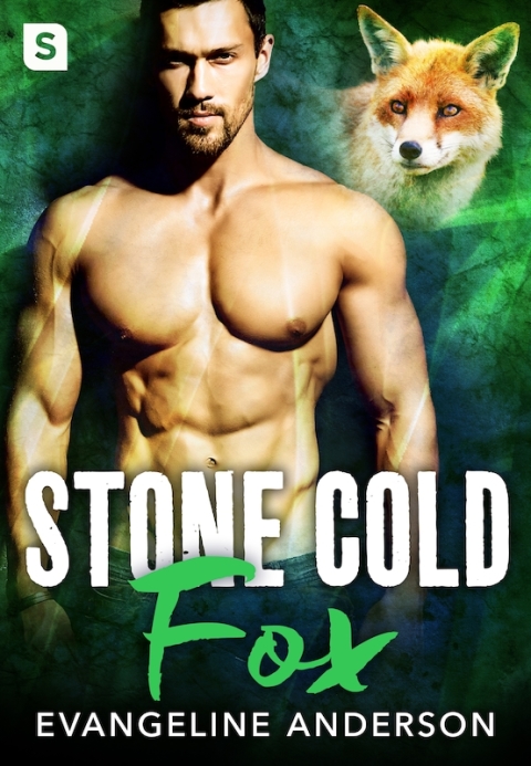 Cover image for book Stone Cold Fox