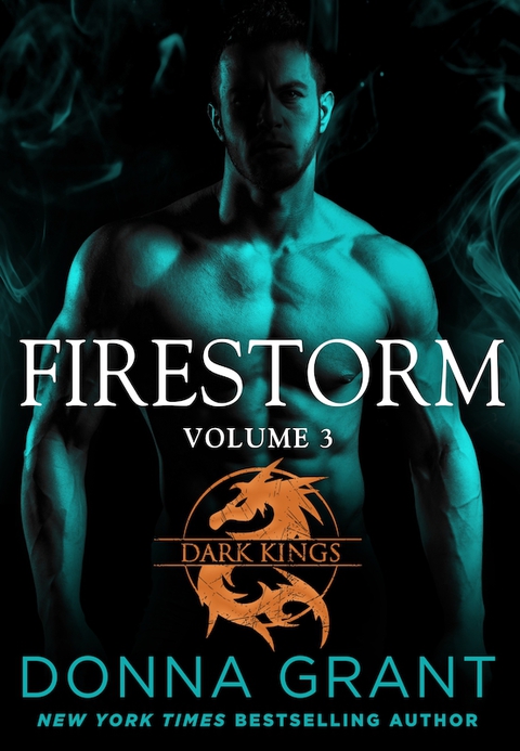 Cover image for book Firestorm: Volume 3
