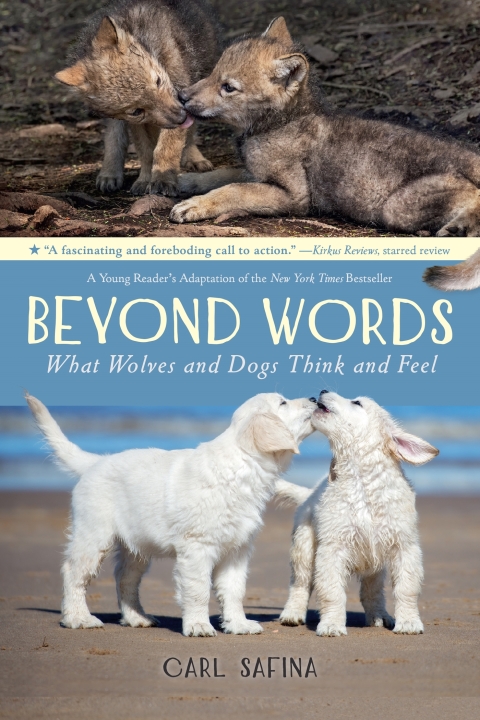 Cover image for book Beyond Words: What Wolves and Dogs Think and Feel (A Young Reader's Adaptation)