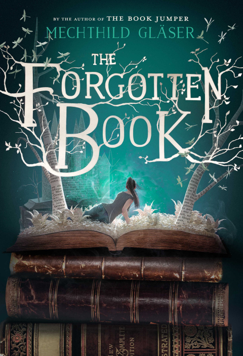 Cover image for book The Forgotten Book