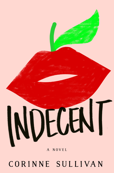 Cover image for book Indecent