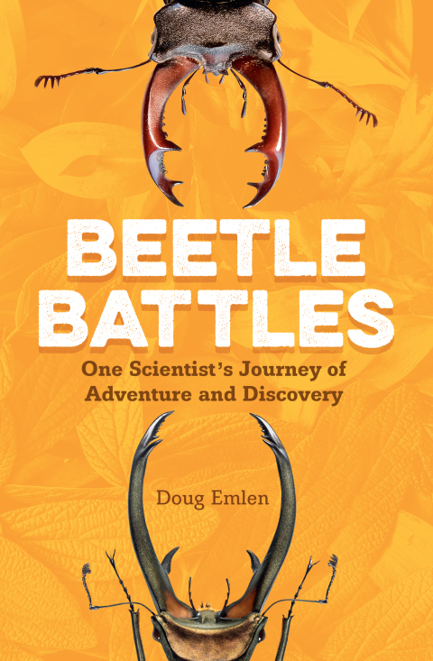 Cover image for book Beetle Battles
