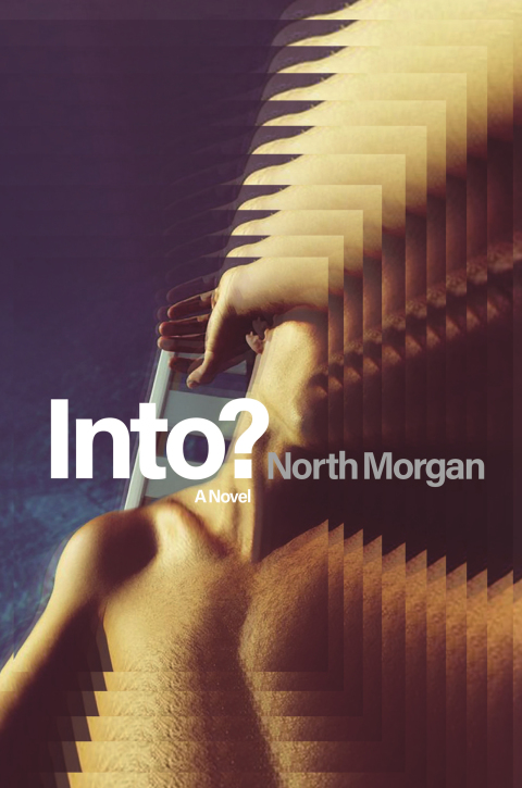 Cover image for book Into?
