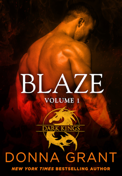 Cover image for book Blaze: Volume 1