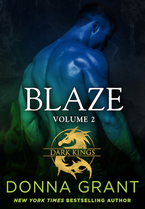 Cover image for book Blaze: Volume 2